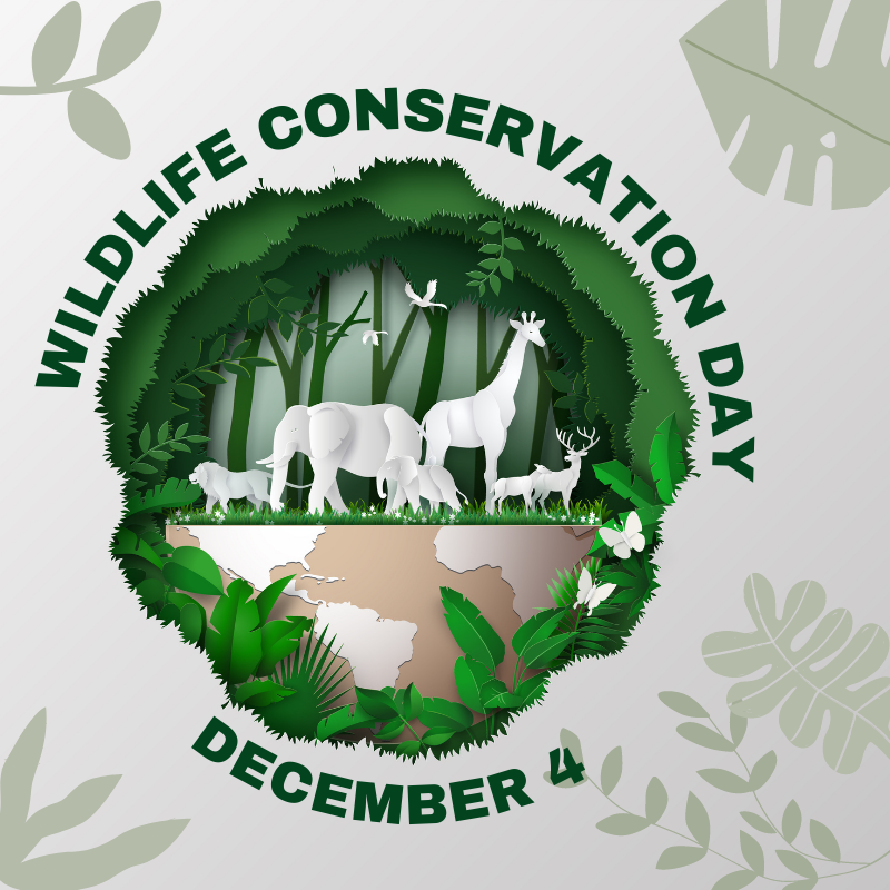 Wildlife Conservation Day susGain